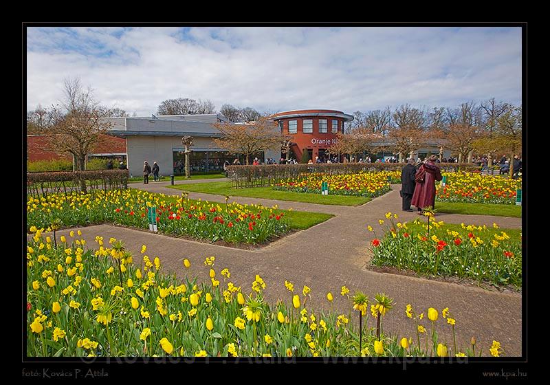 Keukenhof Hollandia 023.jpg